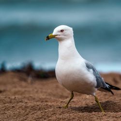 family friendly accommodations near hunstanton